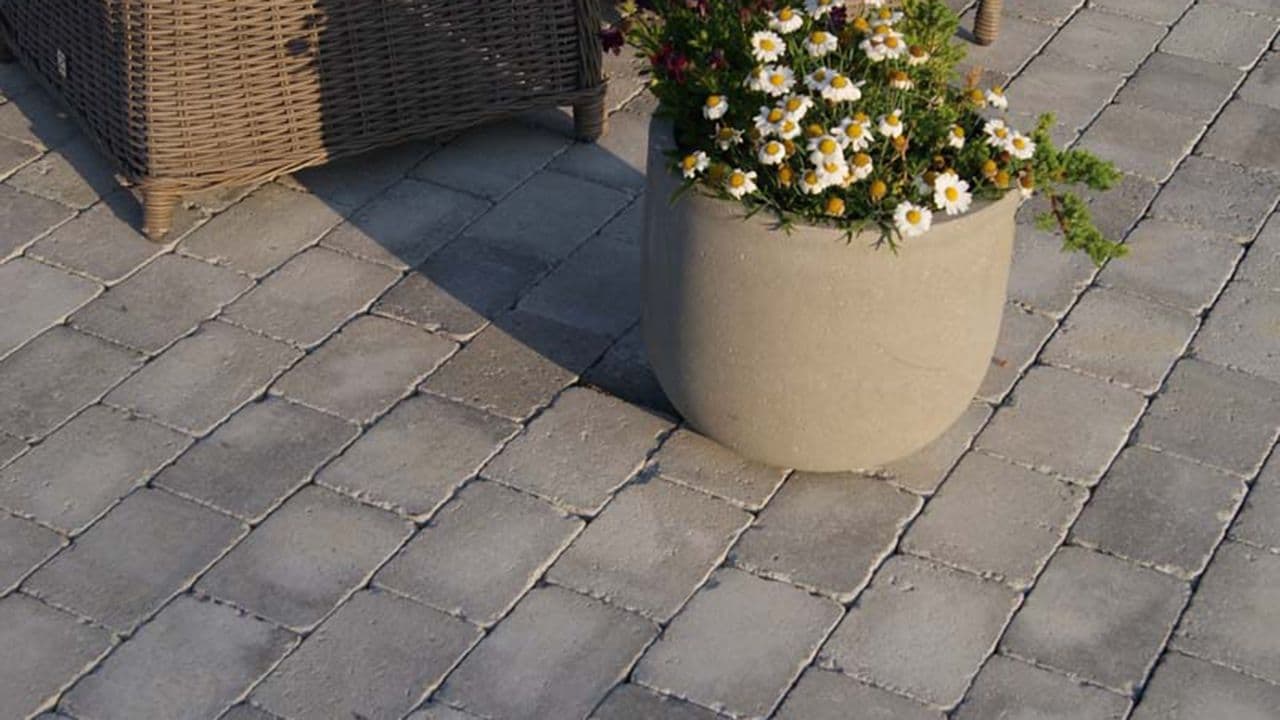 Aas adel belegningsstein og blomsterpotte med spanske margeritter.