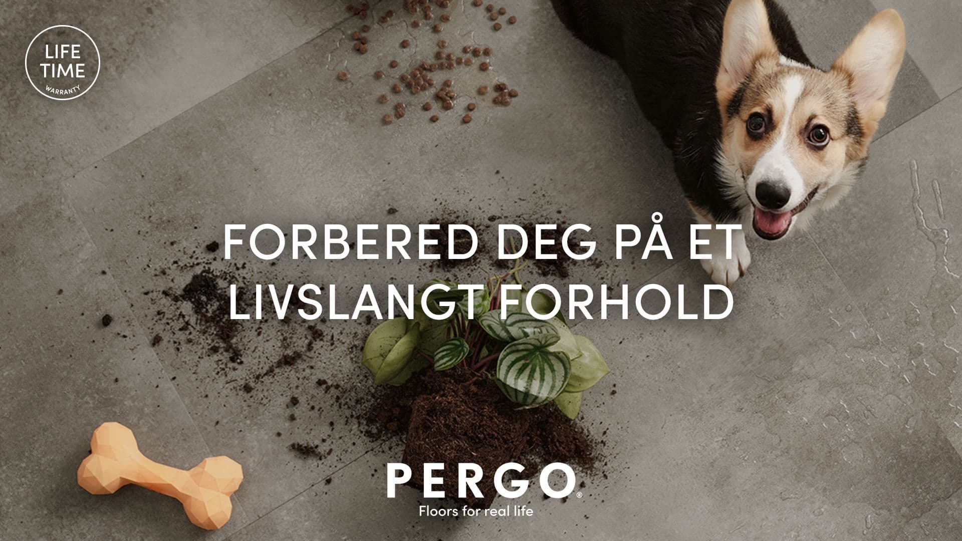 Pergo