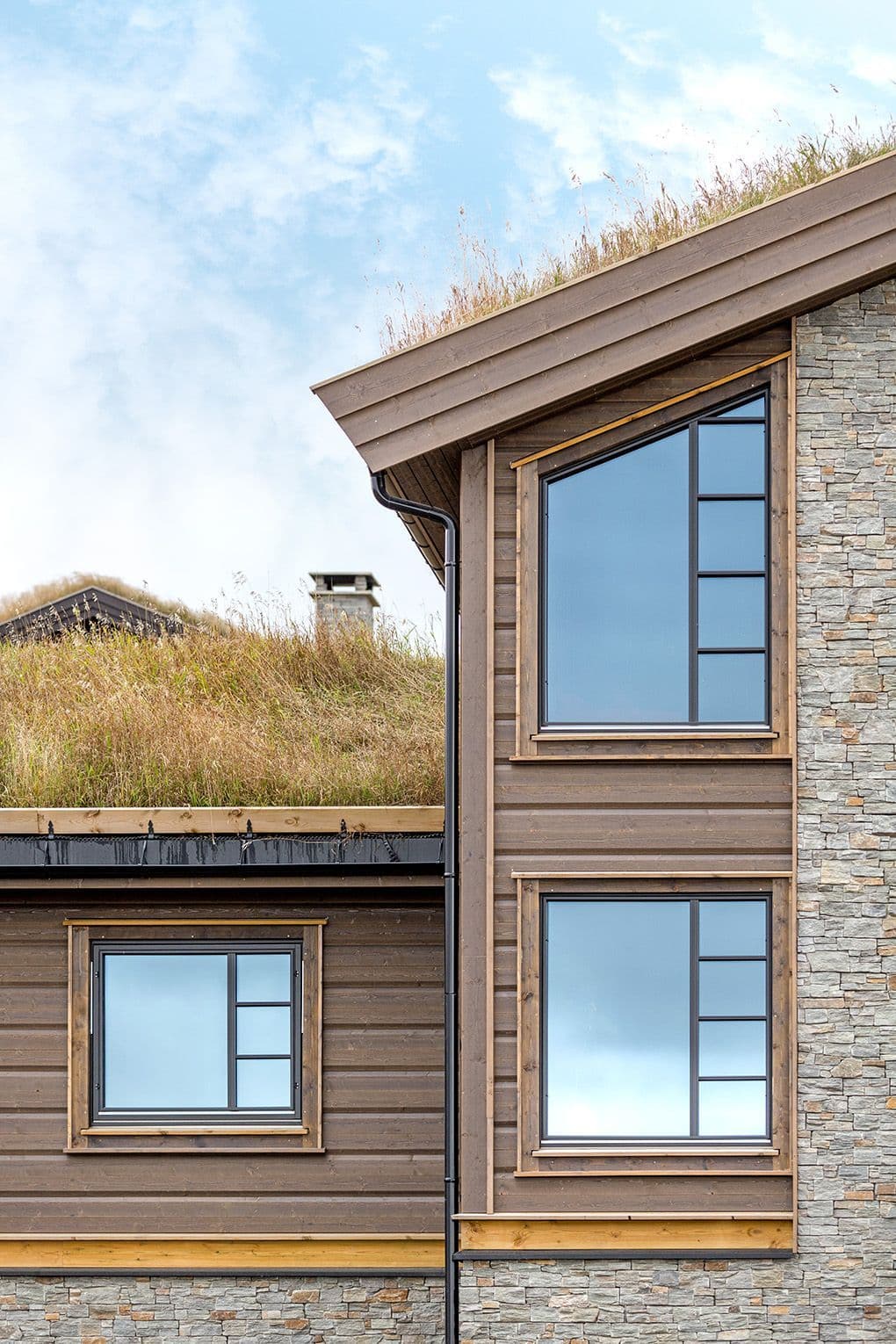 Ytterkledning hytte behandlet med jernvitrol.