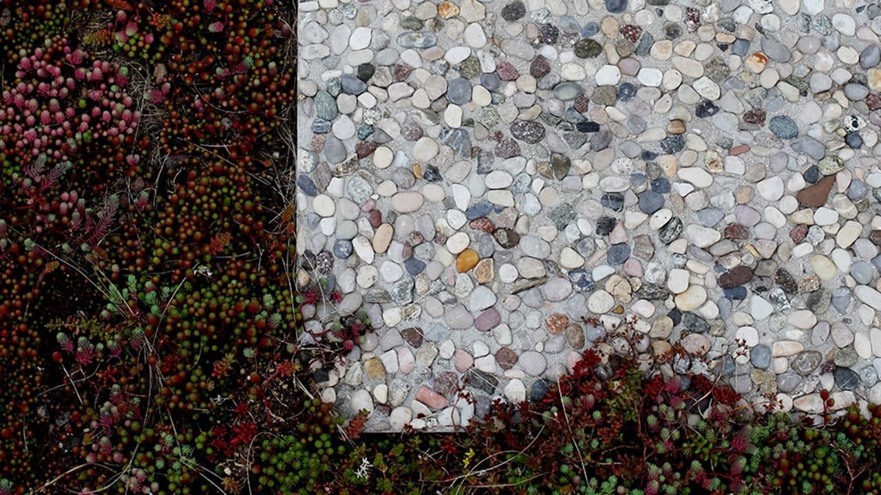 Aaltvedt heller med singel.