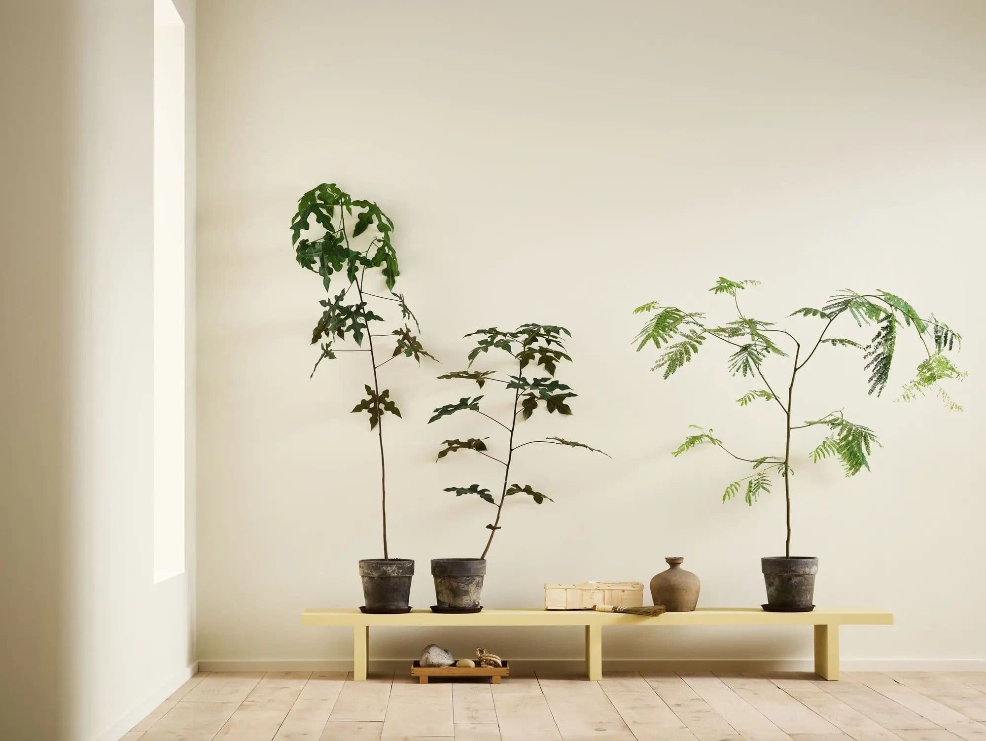 Gang med den varme, gylne hvittonen Jotun 11625 Sjel.