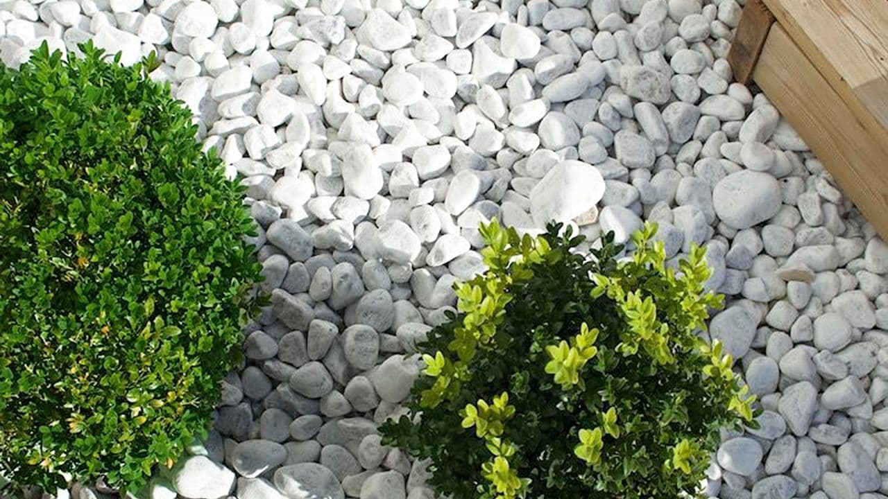 Hvit dekorstein i blomsterbed.